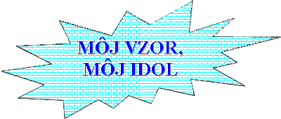 Mj vzor, mj idol